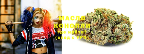 сатива Новокубанск