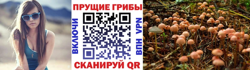 Галлюциногенные грибы мухоморы  купить   Палласовка 